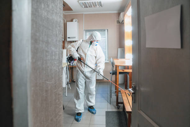 Best Post-Remediation Verification Testing  in Catalina Foothills, AZ