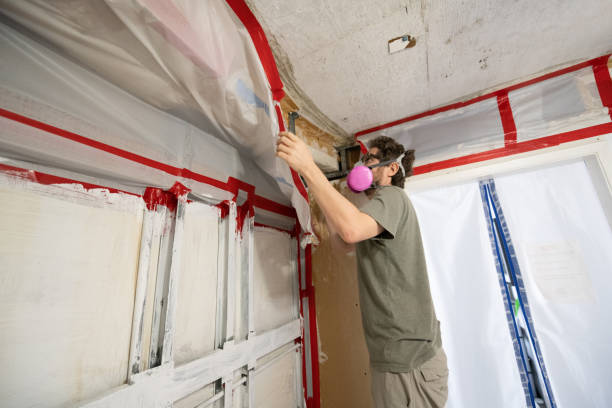 Trusted Catalina Foothills, AZ Mold Removal Experts