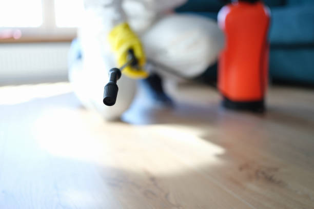 Best Commercial Mold Inspection  in Catalina Foothills, AZ